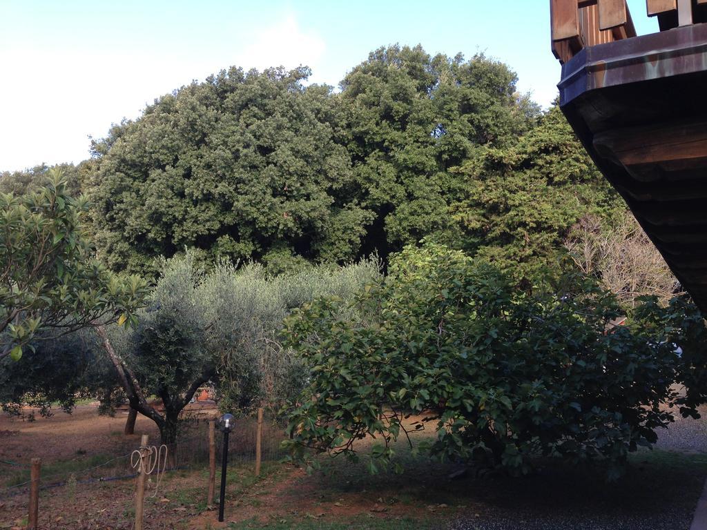 Bed and Breakfast Agriturismo "La Rosa Canina" Леричі Екстер'єр фото